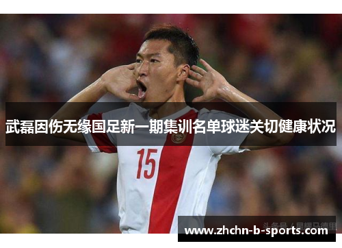 武磊因伤无缘国足新一期集训名单球迷关切健康状况